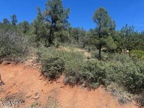 817 N BLUE SPRUCE Circle 284