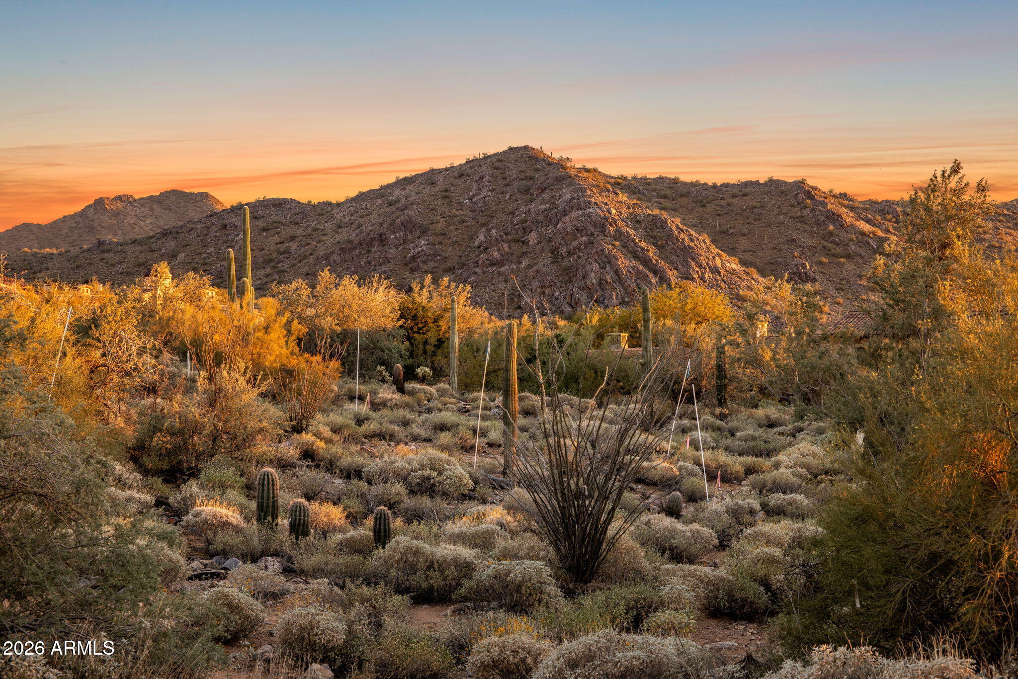 10713 E Wingspan Way 1655