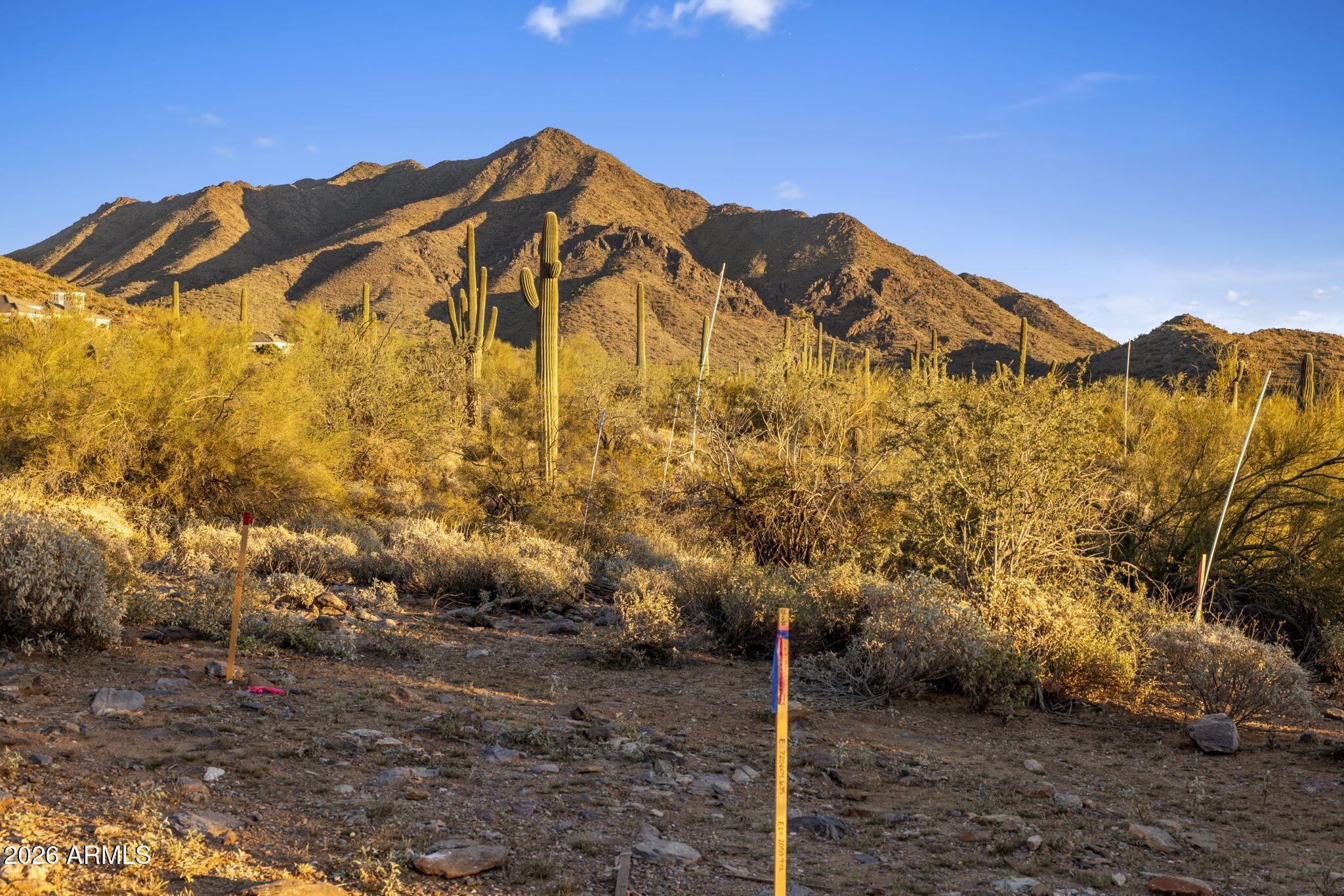 10713 E Wingspan Way 1655