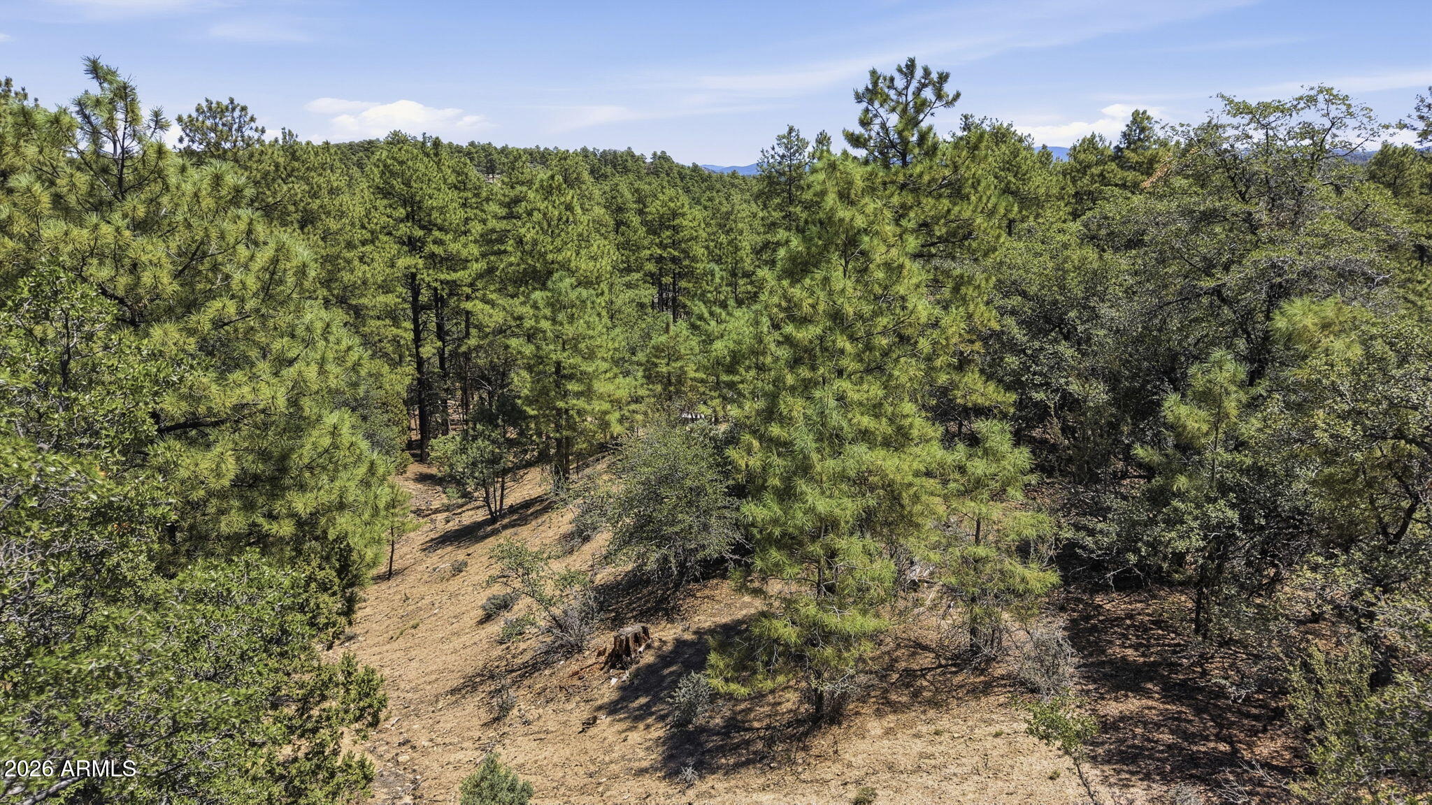 0 W Rustic Trail 110N