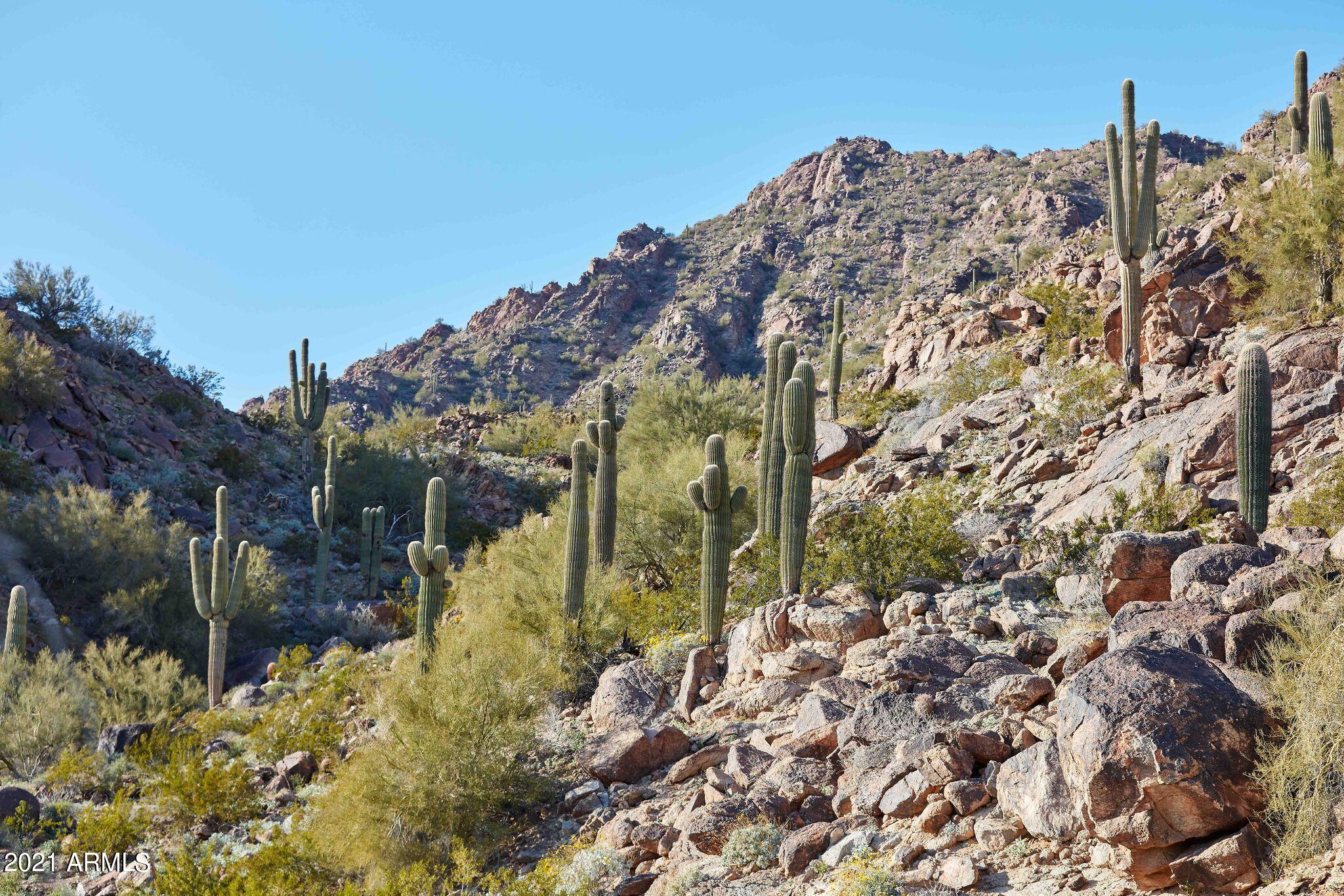 Ascent at The Phoenician Golf Villas - Residential