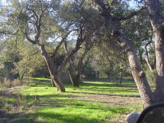 52945 E HARPER RD D, MIAMI, AZ 85539 - Image b3437a24f066e084e871058ded30ea0f/237662534
