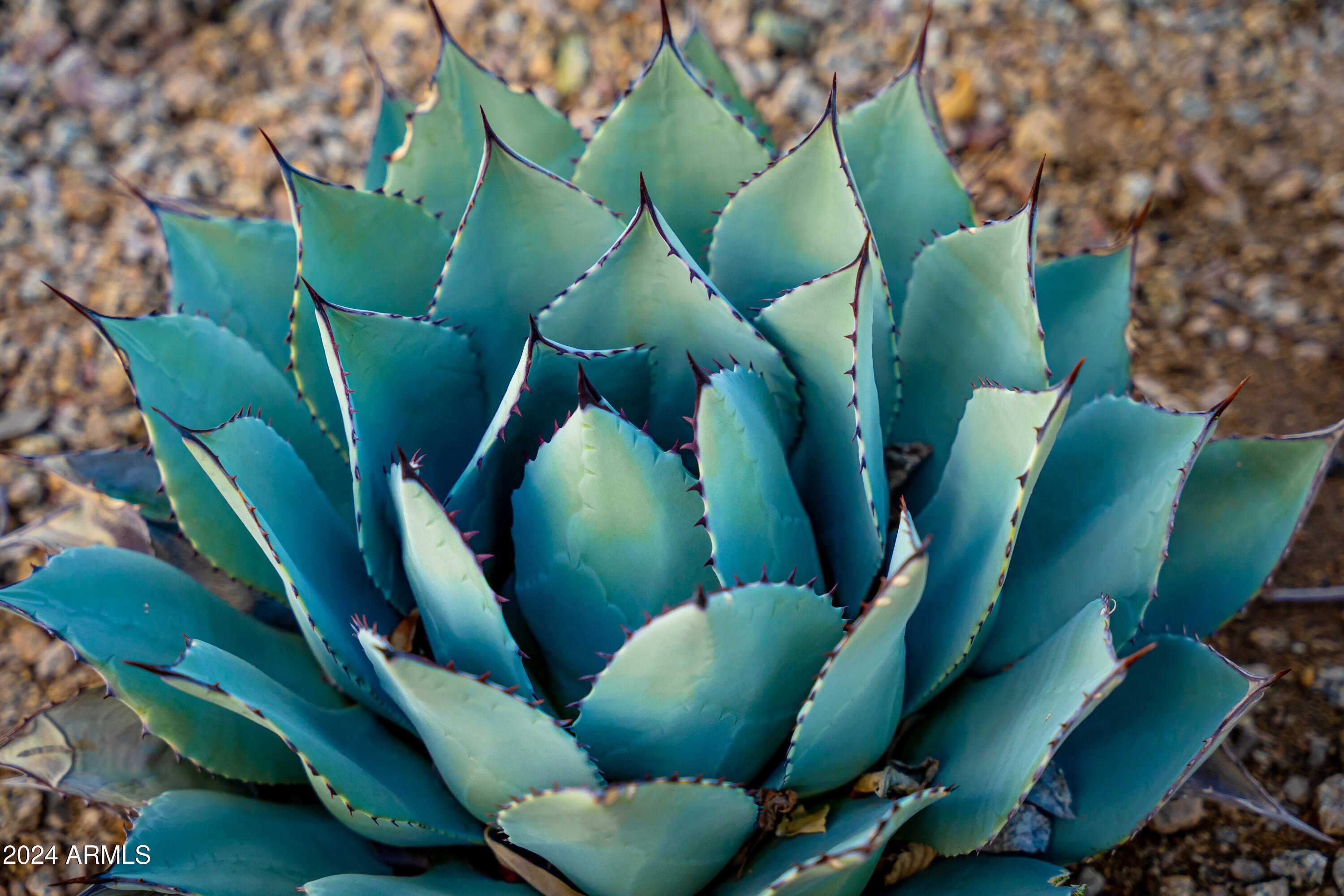 Sun City, Arizona 85373, United States, 2 Bedrooms Bedrooms, ,2 BathroomsBathrooms,Residential,Active,209948