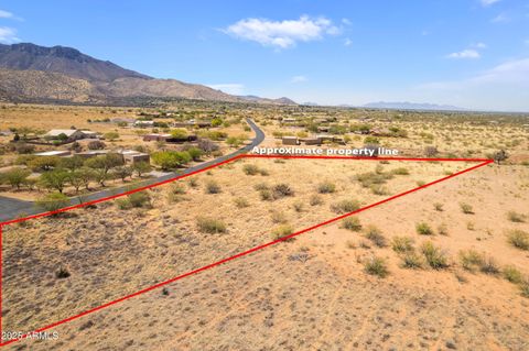 Lot #17 S Palisades Drive 17 Hereford AZ 85615