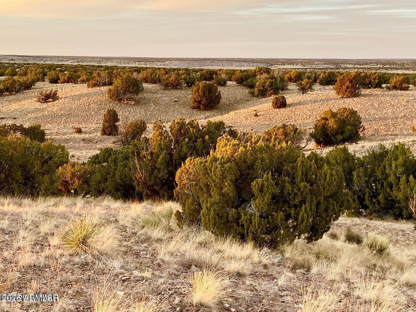 Woodland Valley Ranch - Land