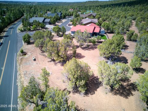 2501 N EAGLE VIEW Loop 16 Show Low AZ 85901