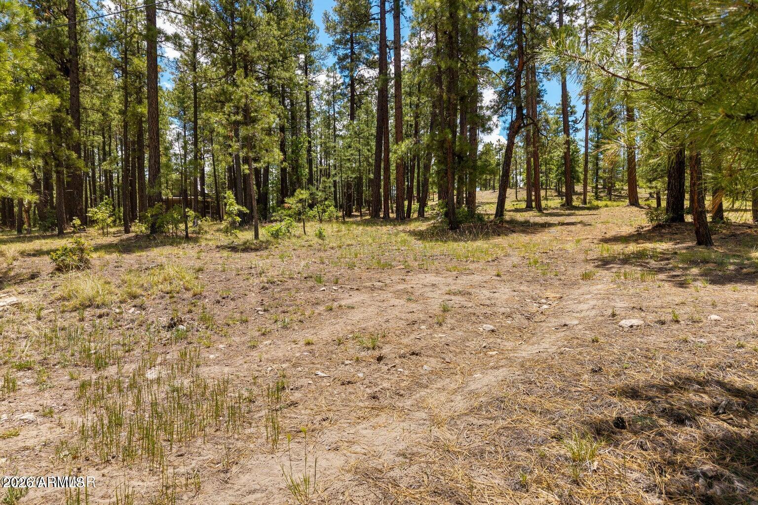 98 County Road 2266 -- n/a