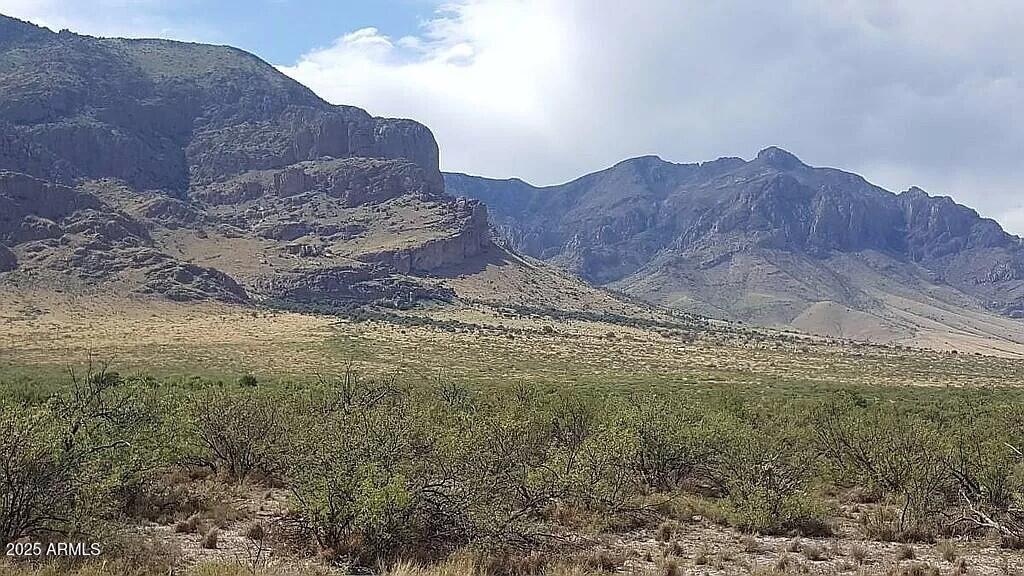 ---- 37 Acres Blacktail Road -