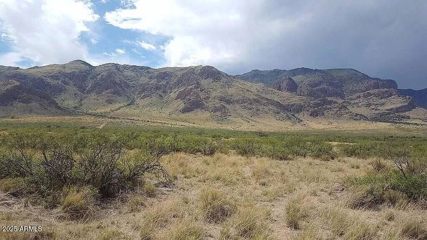 This expansive 37-acre property offers a rare opportunity to own a large tract of undeveloped land in the heart of the Southwestern desert. Situated amidst breathtaking mountain views, this land provides the perfect canvas for your vision—whether you're looking to build a private retreat, develop a ranch, or simply invest in a prime piece of Arizona real estate.
The property is located in a peaceful, rural area, ensuring privacy and tranquility. Great area for stargazing, and hiking! Approximately 1/2 a mile to the Chiricahua Wilderness Area.