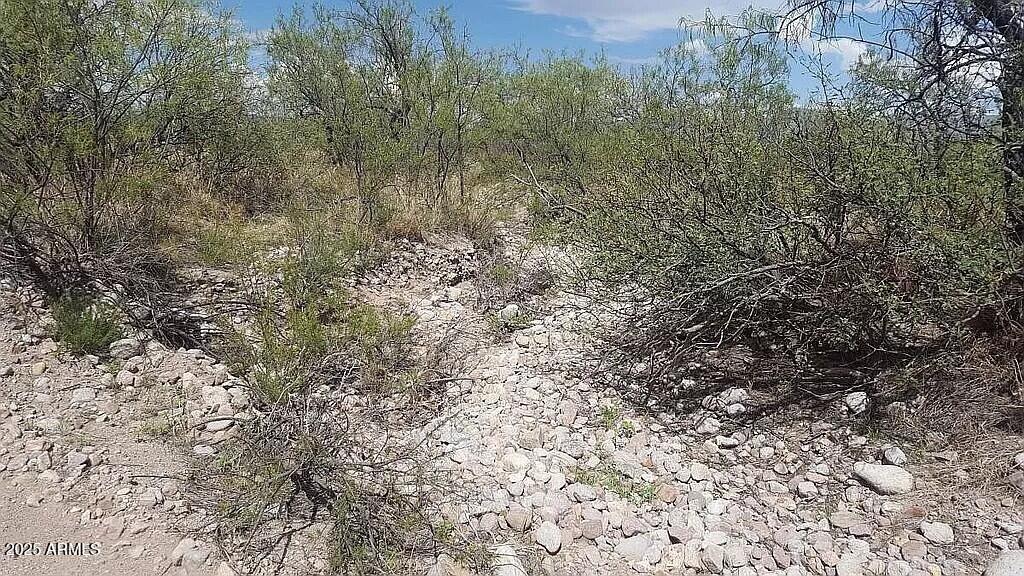 ---- 37 Acres Blacktail Road -
