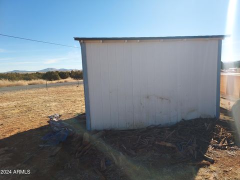 A home in Concho