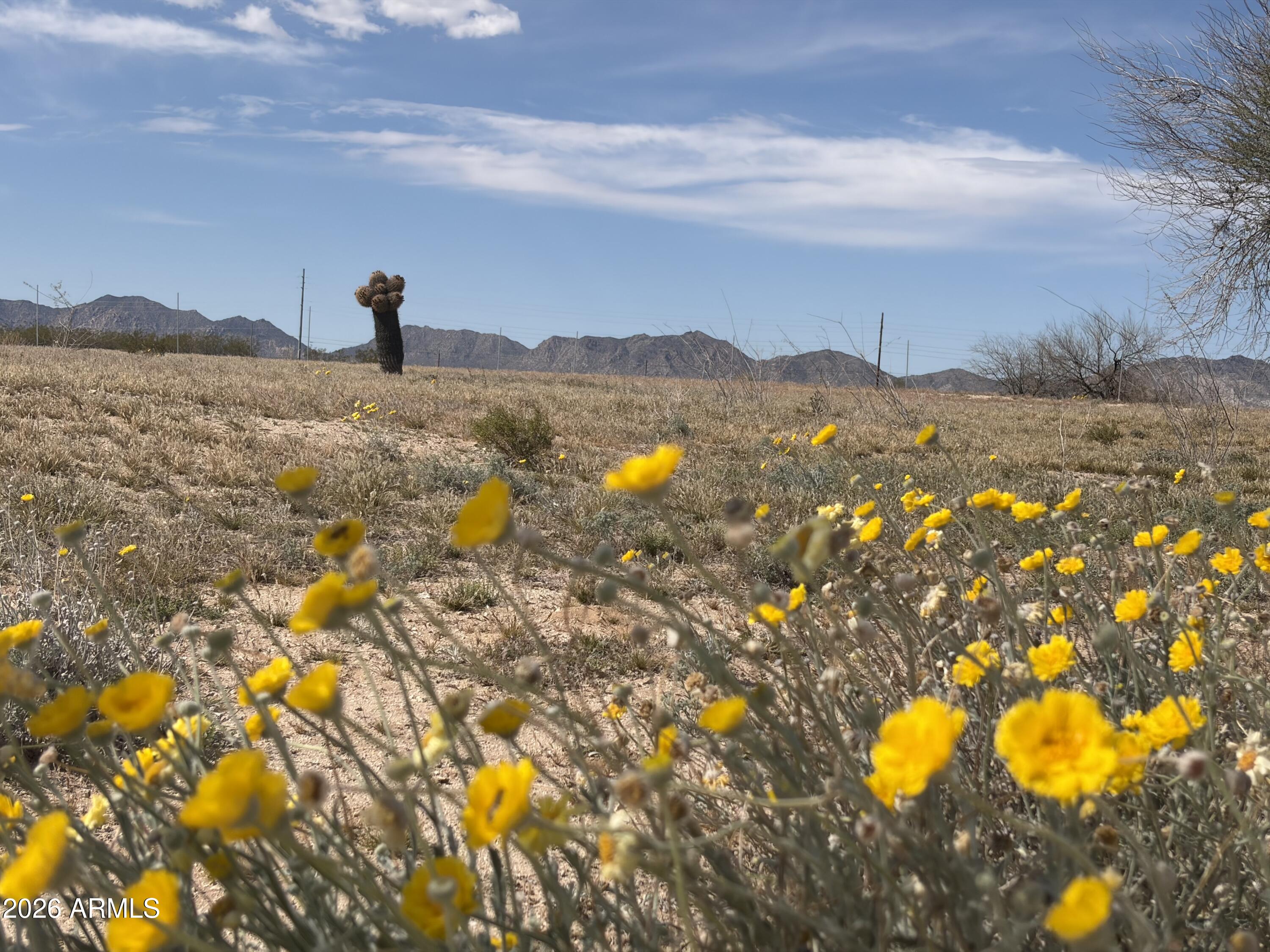 37138 SIX SHOOTER Road 3