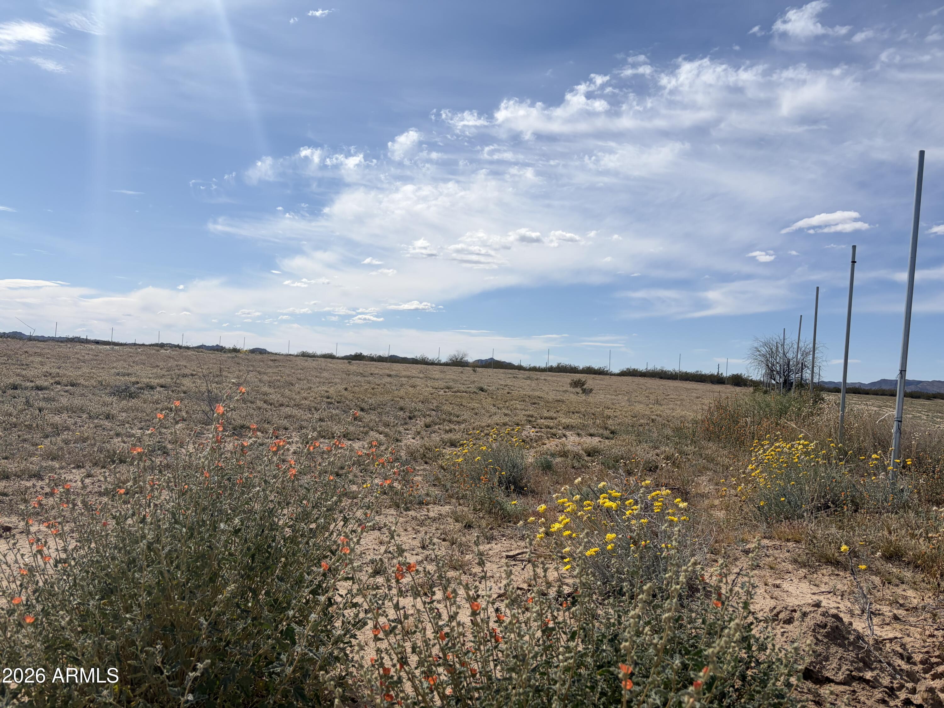 37138 SIX SHOOTER Road 3