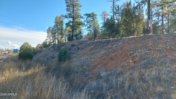 1915 PAYSON-SHOW LOW HWY, HEBER, AZ 85928 - Image b3eca201eef941dc0550e93e4332ddef/544197443