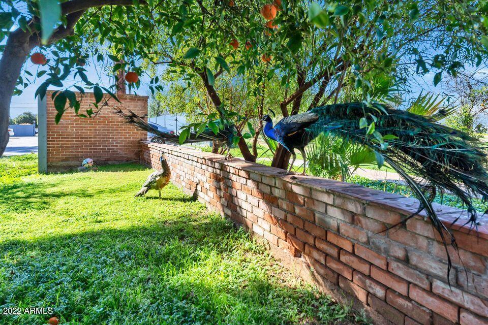 4004 E MCKELLIPS Road 1-101