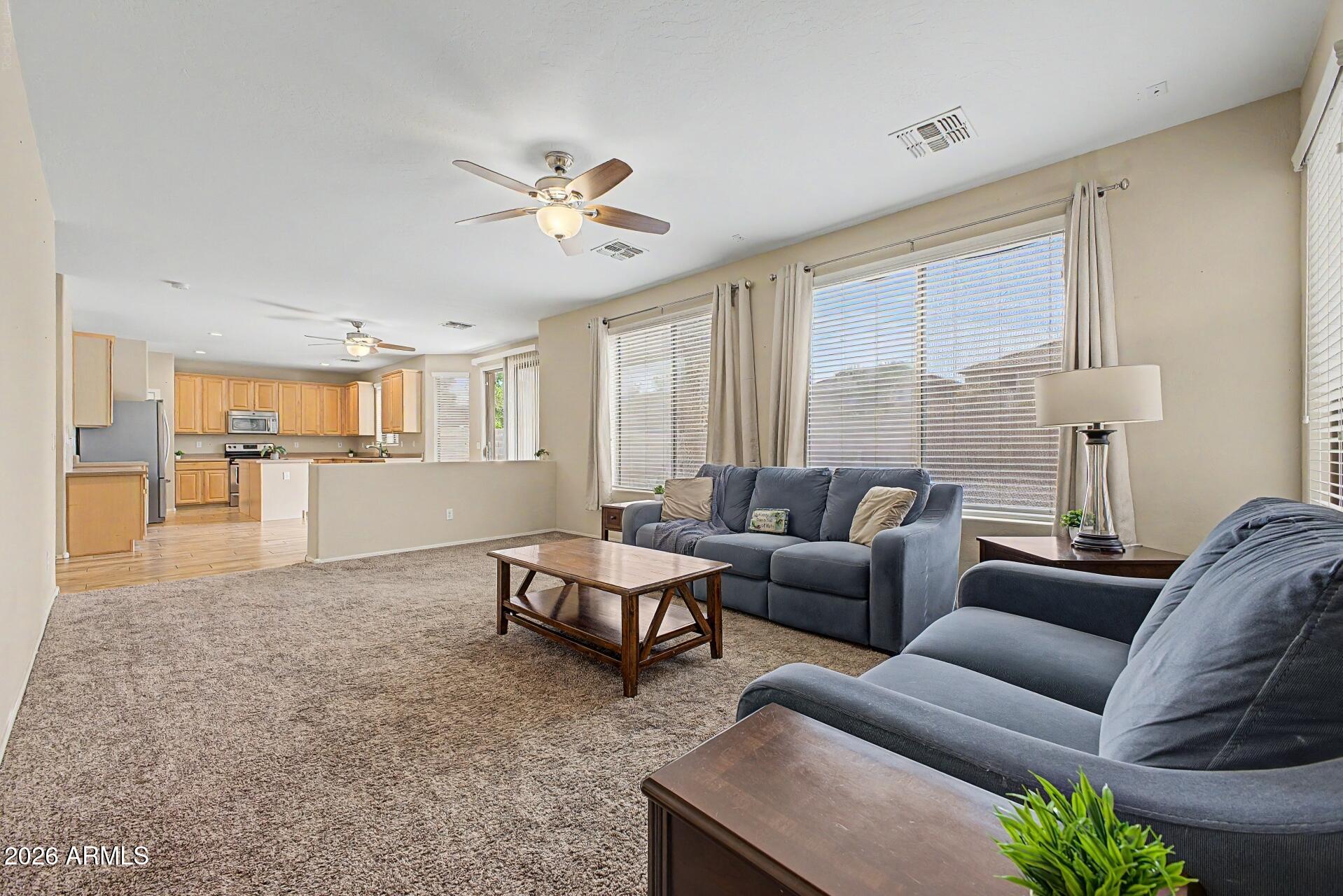 31292 N SADDLEBAG Lane