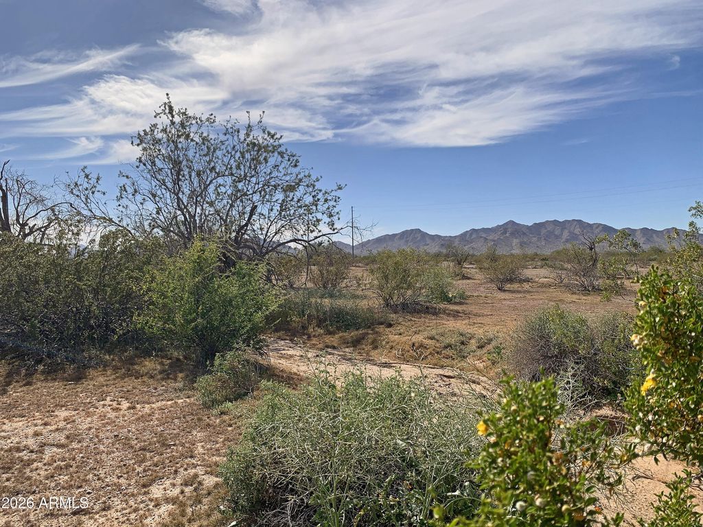 Photo of 0 W Pampas Grass Road #2, Maricopa, AZ 85139 (MLS # 6987772)