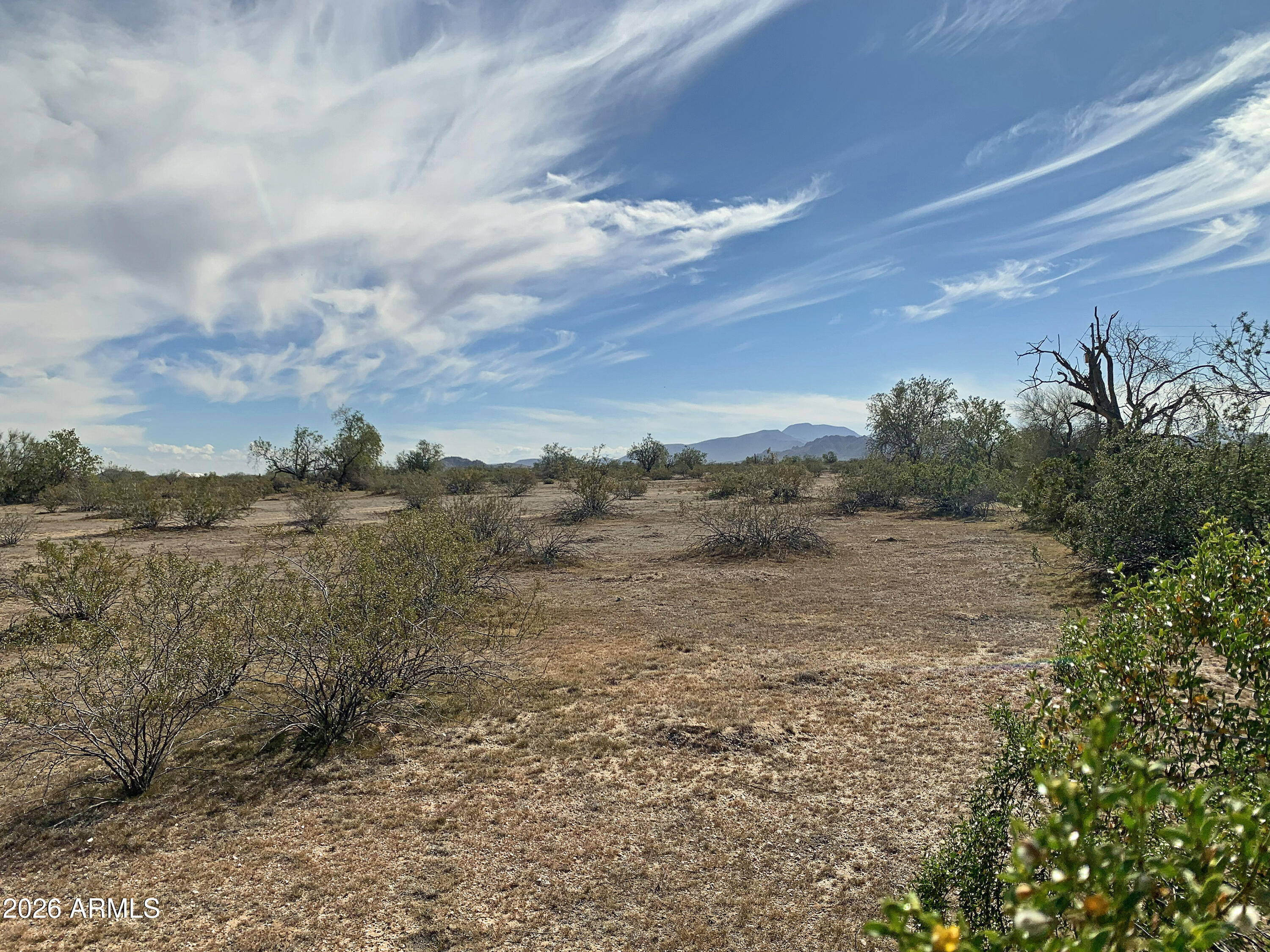 Properties 3 0 W Pampas Grass Road 2