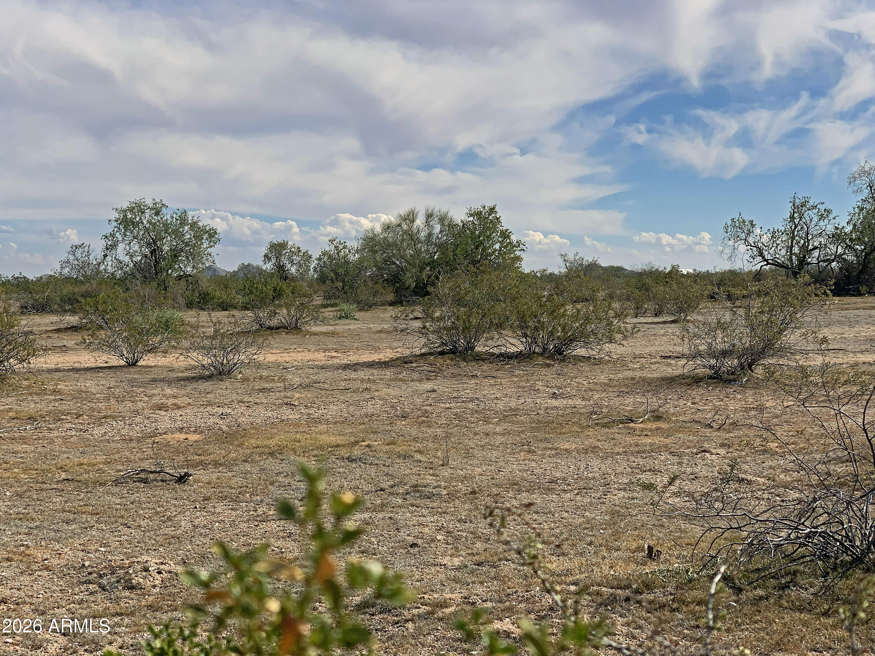 Properties 4 0 W Pampas Grass Road 2