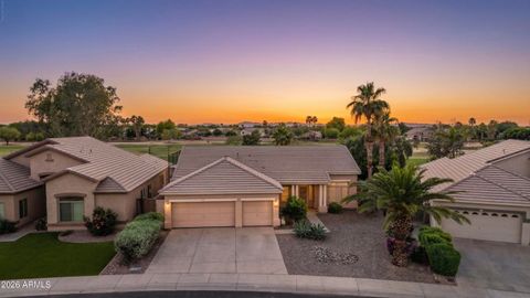 1038 S PALOMINO CREEK Drive Gilbert AZ 85296