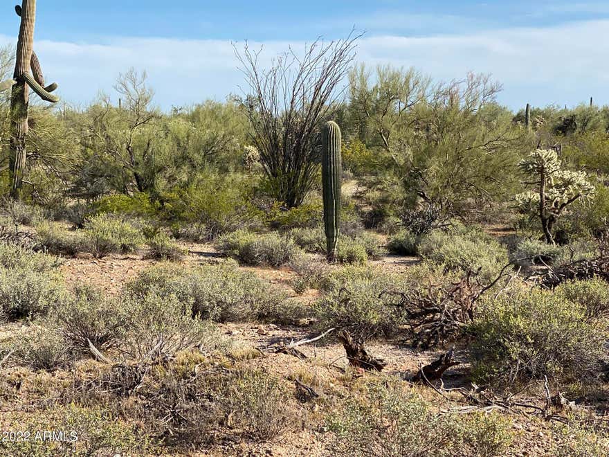 Ready to leave the population behind?!  This is a beautiful piece of desert land with gorgeous vegetation, quiet oasis, dark skies filled with evening stars.  Near power and state land... Bring your imagination!!!