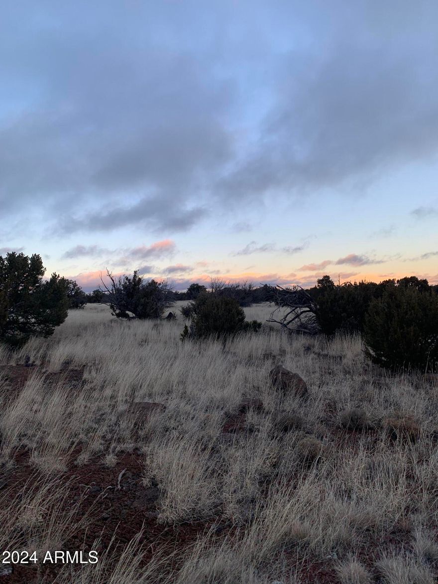 1.03 acre lot located in the Park Show Low Development.  Country living with a short distance to Show Low, St. Johns and surrounding areas.