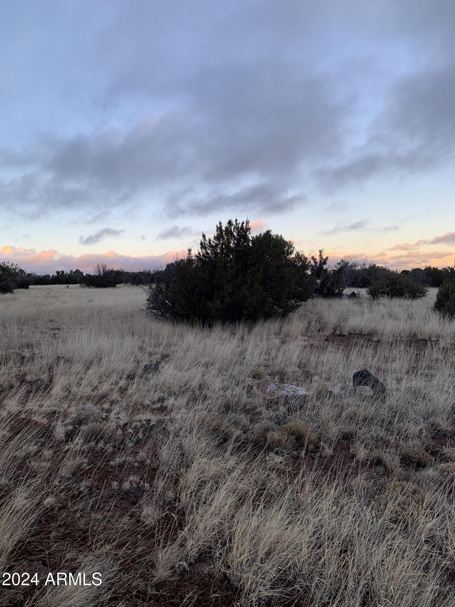 No Address Lot 1916 Mills Lane Road 1916