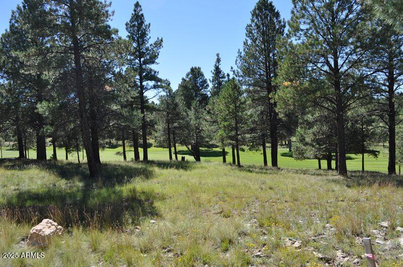 Pine Canyon - Land