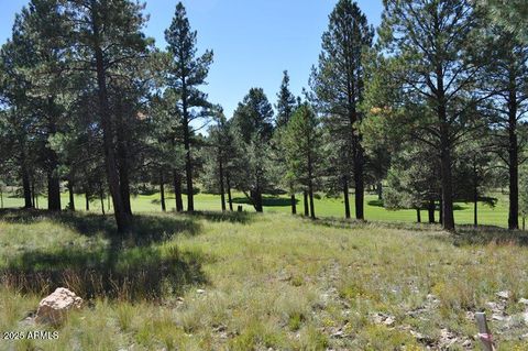 2900 S Solitaires Canyon Drive 345 Flagstaff AZ 86005