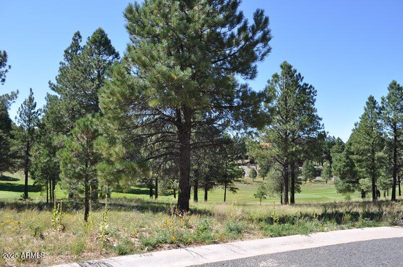 Pine Canyon - Land