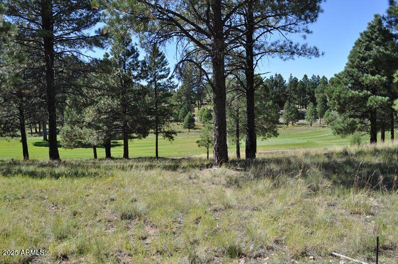 Pine Canyon - Land