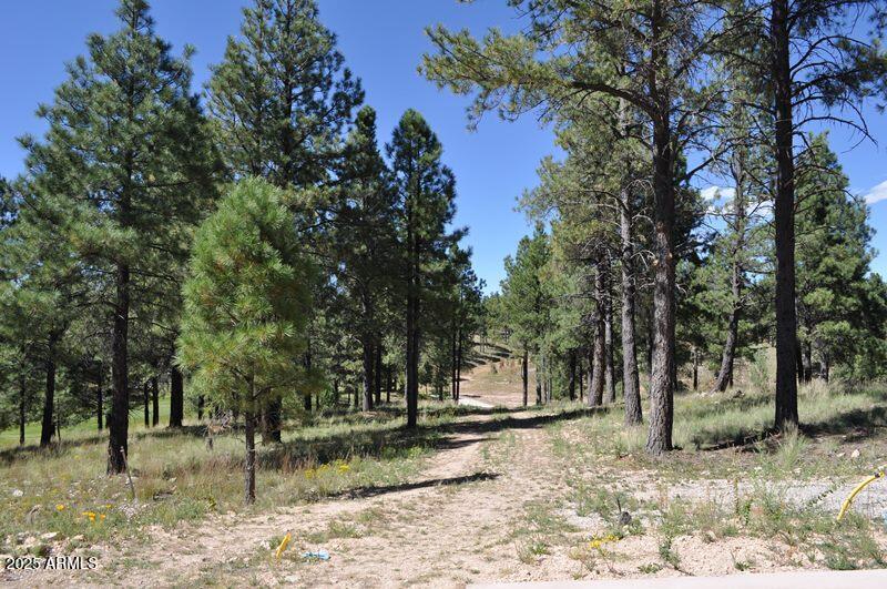 Pine Canyon - Land