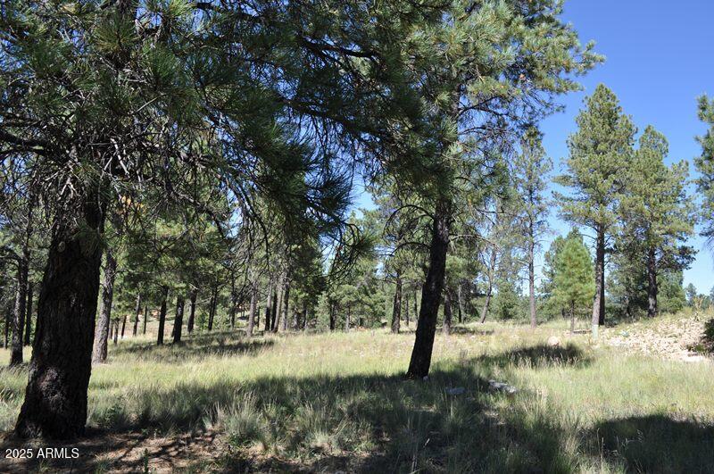 Pine Canyon - Land