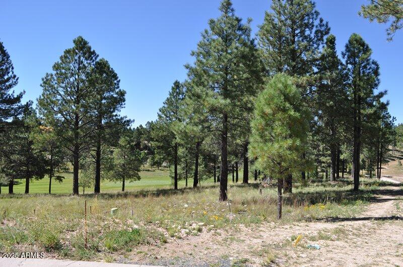 Pine Canyon - Land