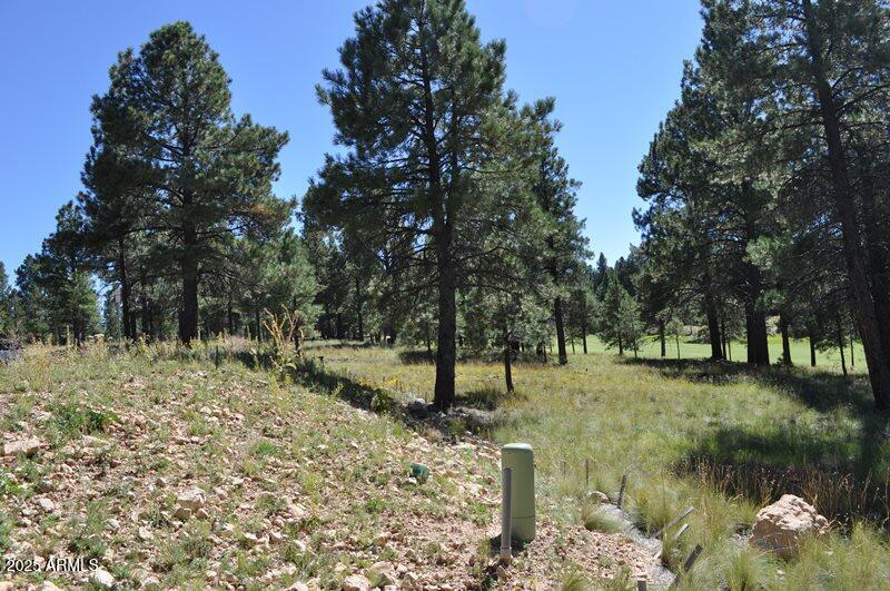 Pine Canyon - Land