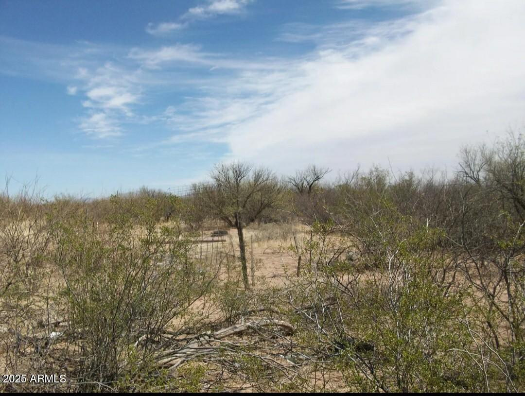 17515 W WESTERN STAR Trail -