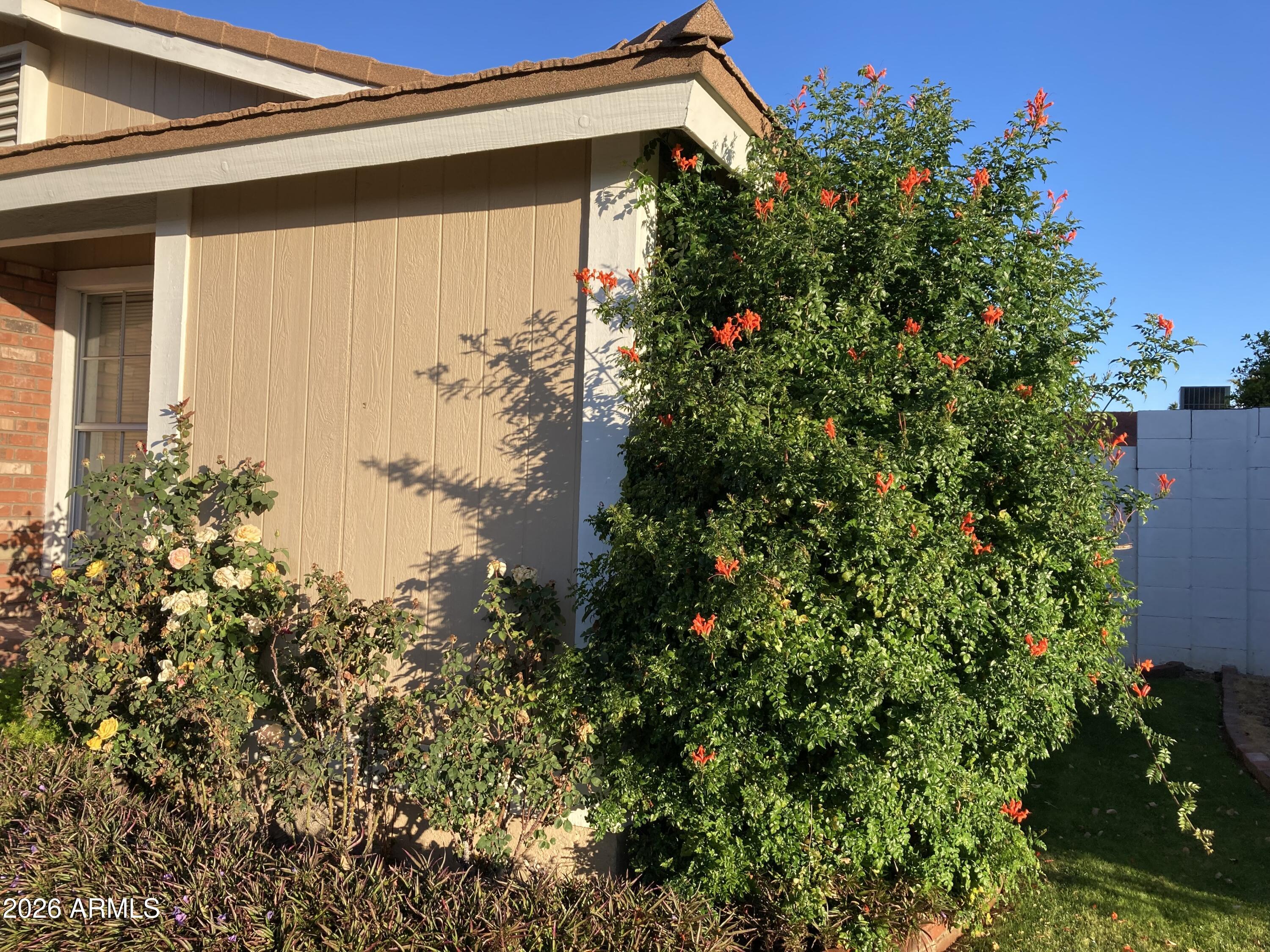 314 E CAMPO BELLO Drive