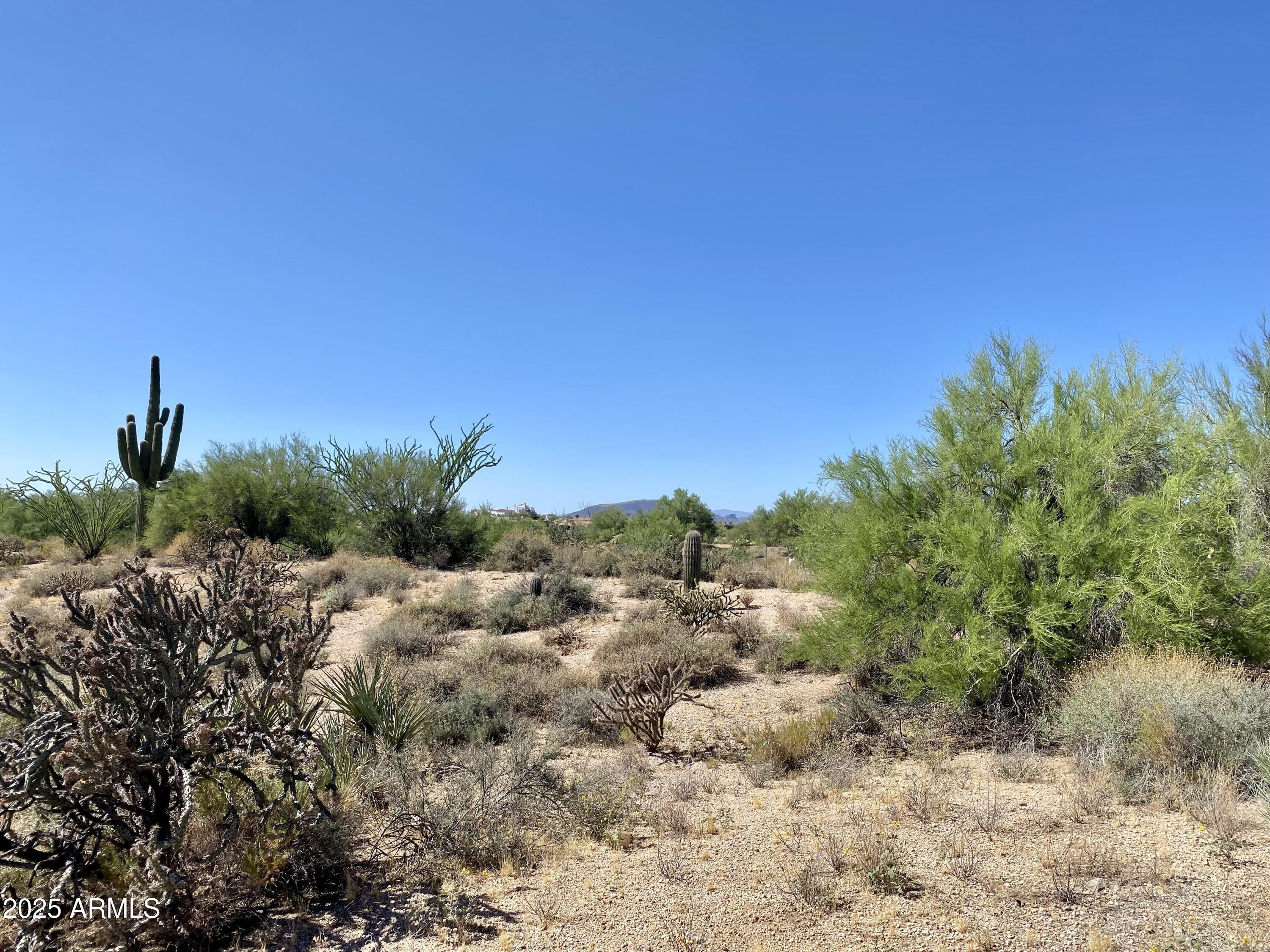 9156 E HAPPY HOLLOW Drive 155