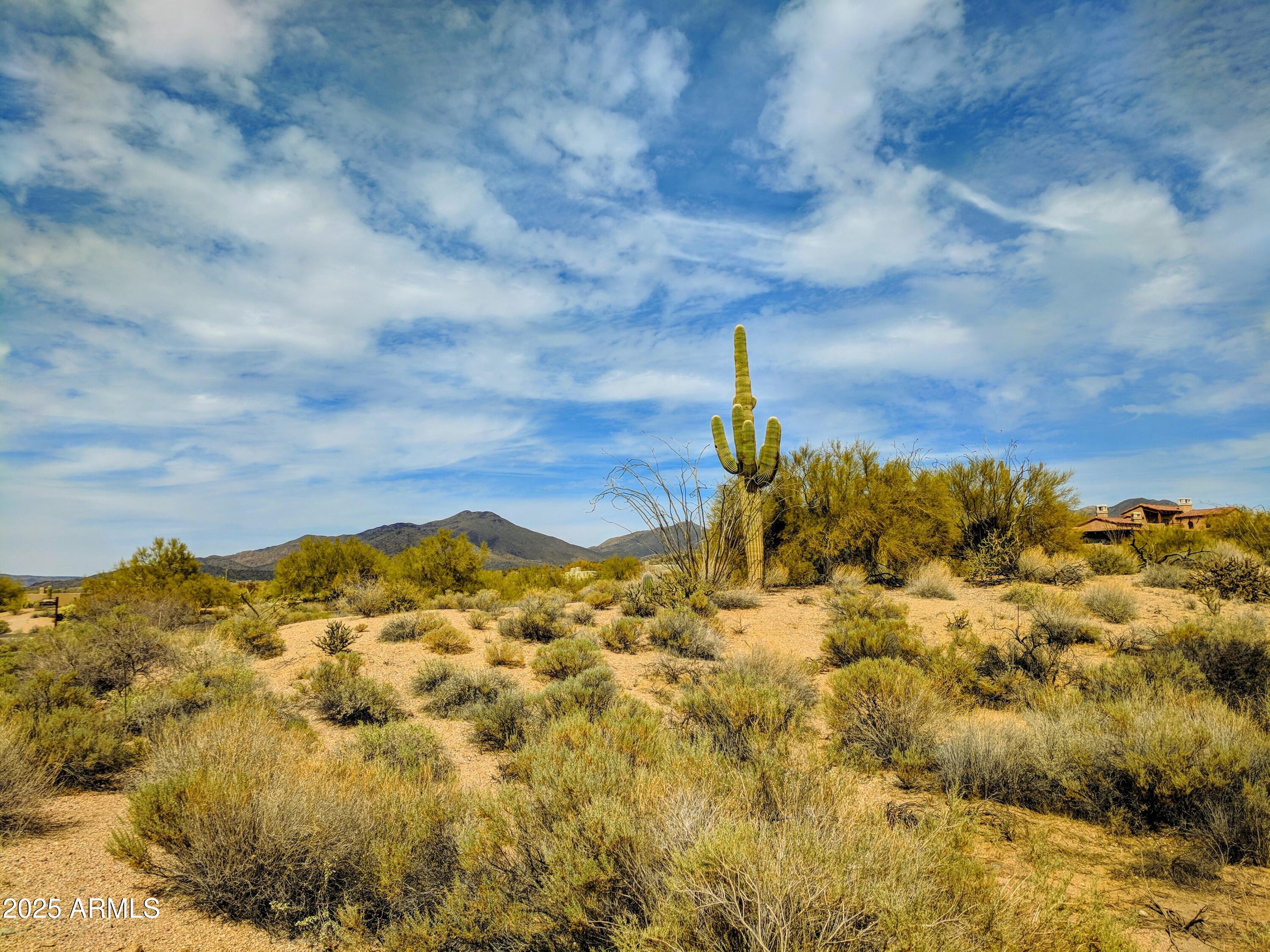 9156 E HAPPY HOLLOW Drive 155