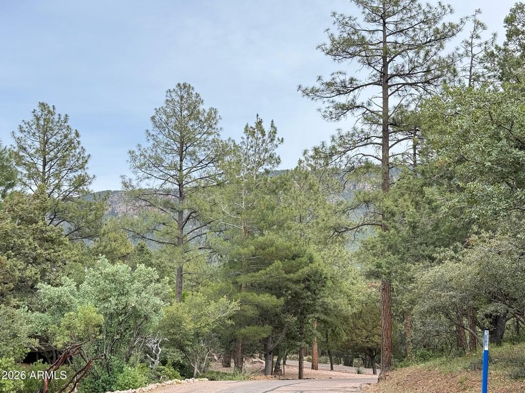 Photo of 161 N Portal Drive #161, Pine, AZ 85544 (MLS # 7032737)