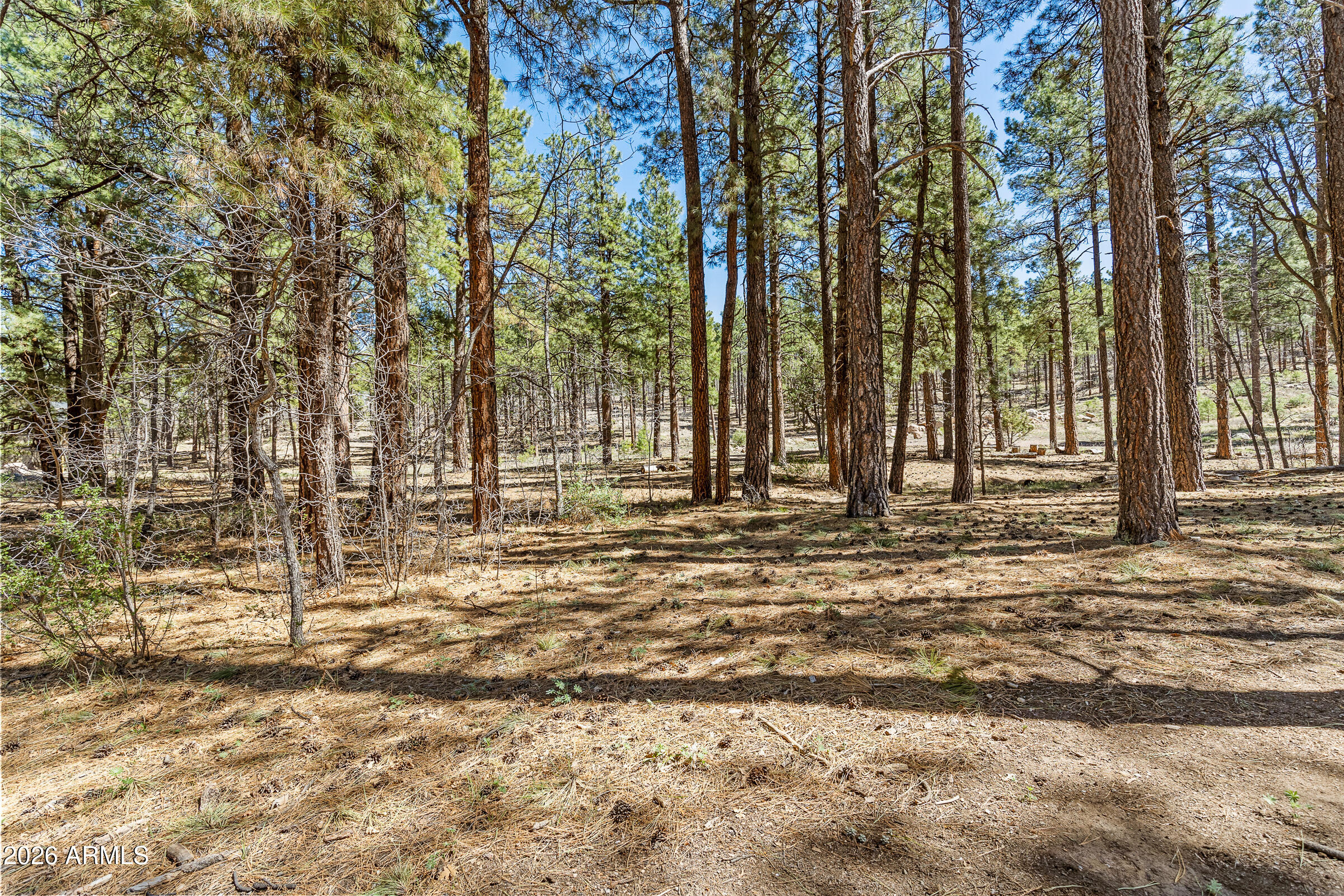 ESCALANTE AT WILLIAMS MOUNTAIN - Residential