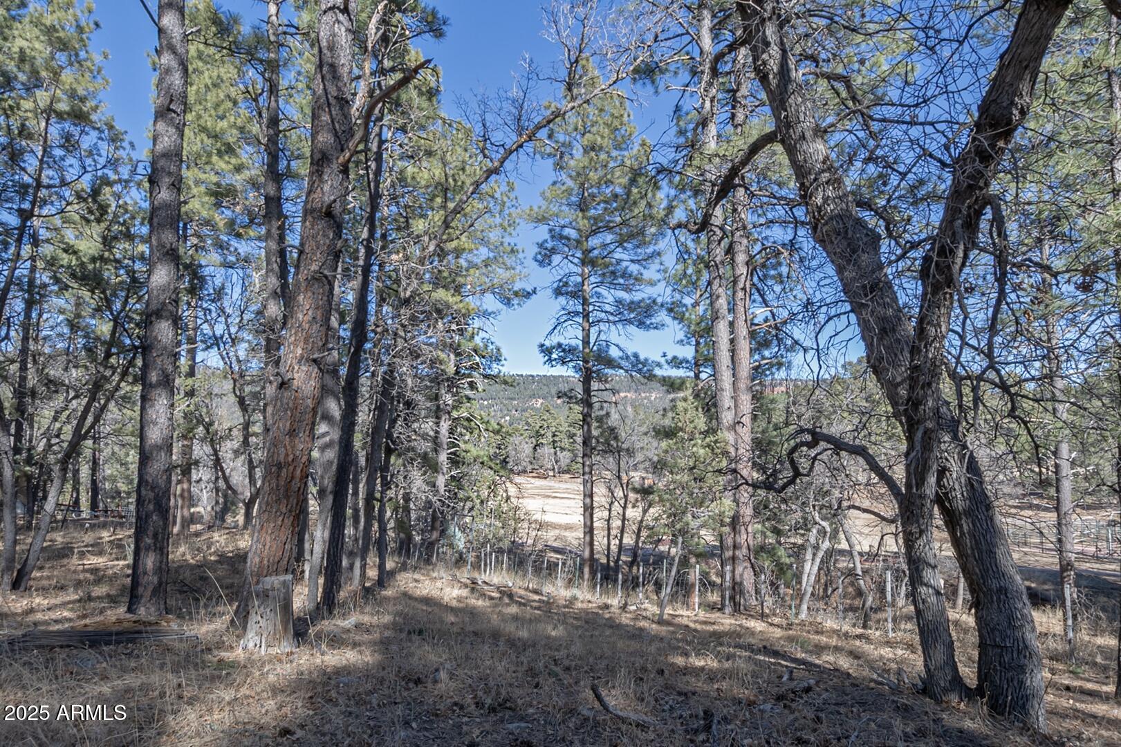 Gordon Canyon - Residential