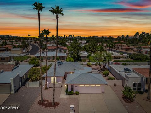9654 E FOSTER Avenue Sun Lakes AZ 85248