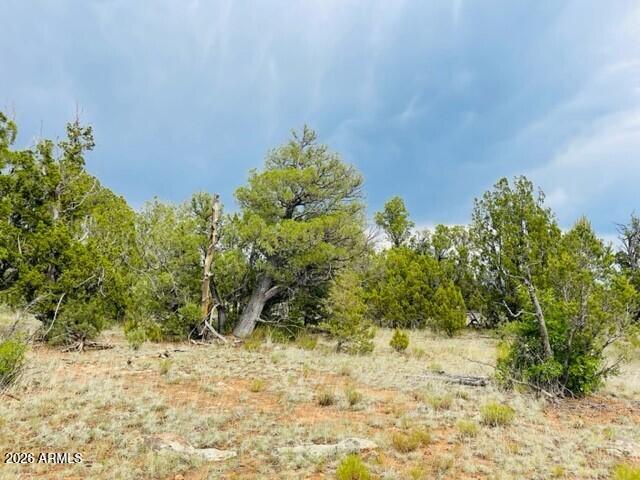 8418 HAVEN CREST Drive 223