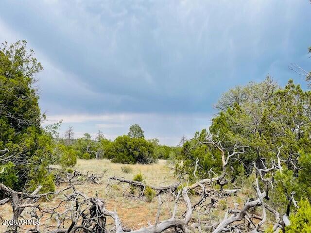 8418 HAVEN CREST Drive 223