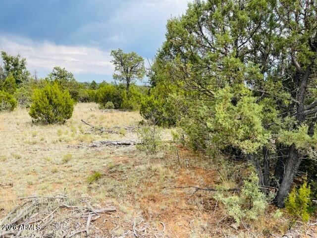 MOGOLLON RANCH 2 - Land