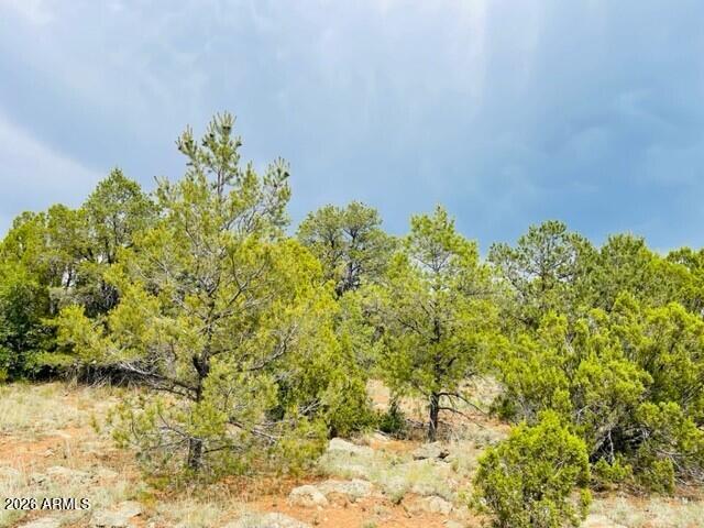 MOGOLLON RANCH 2 - Land