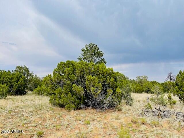 MOGOLLON RANCH 2 - Land