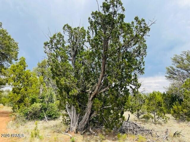 8418 HAVEN CREST Drive 223