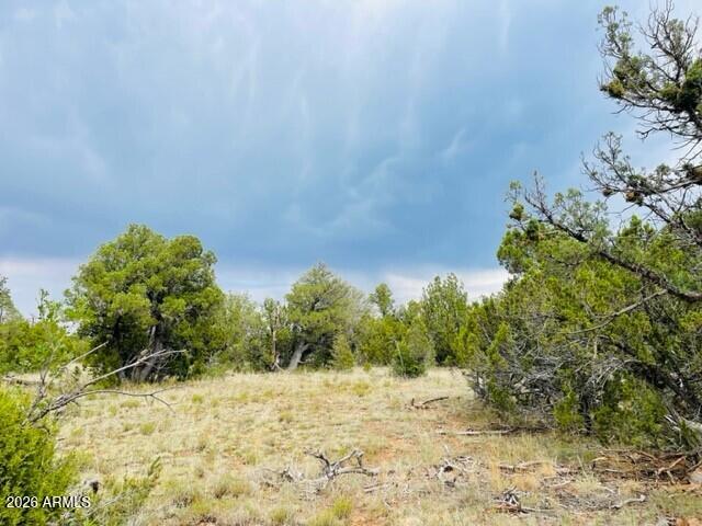 MOGOLLON RANCH 2 - Land
